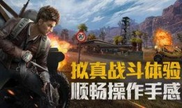 和平精英爆料动画视频,动画视频揭秘神秘内容